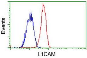 Flow cytometric Analysis of Jurkat cells, using anti-L1CAM antibody (ABIN2453219), (Red), compared to a nonspecific negative control antibody (ABIN2453219), (Blue). (L1CAM 抗体)