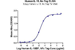 Immobilized Human IL-18 at 5 μg/mL (100 μL/Well) on the plate. (IL-18 蛋白)