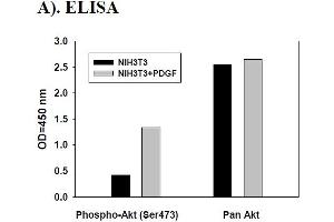 Image no. 2 for V-Akt Murine Thymoma Viral Oncogene Homolog 1 (AKT1) ELISA Kit (ABIN1981778) (AKT1 ELISA 试剂盒)