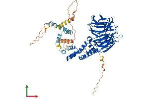Protein Structure (PS) image for beta-Transducin Repeat Containing (BTRC) (AA 1-605) protein (His tag) (ABIN7553884)