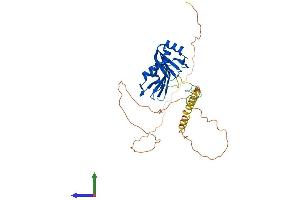 Protein Structure (PS) image for RNA Binding Motif Protein 4 (RBM4) (AA 1-361) protein (His tag) (ABIN7564522)