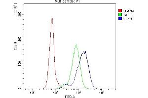 anti-Lymphocyte Antigen 9 (CD229) antibody