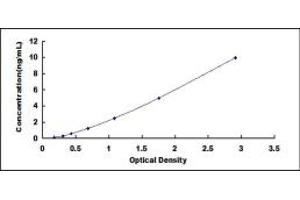 Typical standard curve (EPB42 ELISA 试剂盒)