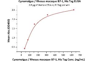 ELISA image for CD80 (CD80) (AA 35-242) protein (His tag) (ABIN2180839)
