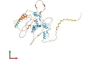 AlphaFold protein structure predicition of Mouse Recombinant Fezf1 Protein, UniprotID Q0VDQ9