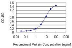 Detection limit for recombinant GST tagged ARHGEF10 is 0. (ARHGEF10 抗体  (AA 792-890))