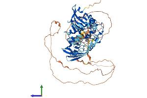 Protein Structure (PS) image for Calcium/calmodulin-Dependent Protein Kinase II beta (CAMK2B) (AA 1-666) protein (His tag) (ABIN7554284)