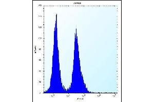 SNIP1 Antibody (N-term) (ABIN656183 and ABIN2845511) flow cytometric analysis of Jurkat cells (right histogram) compared to a negative control cell (left histogram). (SNIP1 抗体  (N-Term))