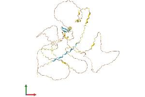 Protein Structure (PS) image for Retinoic Acid Induced 2 (RAI2) (AA 1-530) protein (His tag) (ABIN7551161)