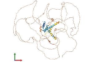 AlphaFold protein structure predicition of Human Recombinant TCHHL1 Protein, UniprotID Q5QJ38