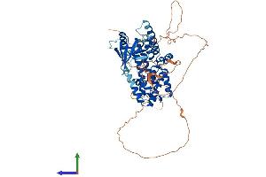 Protein Structure (PS) image for Ral GEF with PH Domain and SH3 Binding Motif 2 (RALGPS2) (AA 1-583) protein (His tag) (ABIN7551348)