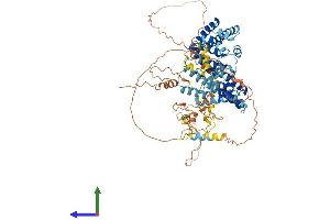 AlphaFold protein structure predicition of Human Recombinant LAS1L Protein, UniprotID Q9Y4W2