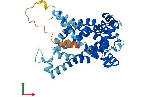 AlphaFold protein structure predicition of Mouse Recombinant Slc25a16 Protein, UniprotID Q8C0K5