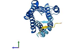 AlphaFold protein structure predicition of Mouse Recombinant Kdelr3 Protein, UniprotID Q8R1L4