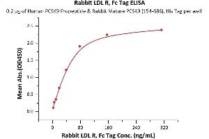 Immobilized Human PCSK9 Propeptide & Rabbit Mature PCSK9 (154-686), His Tag (ABIN6973190) at 2 μg/mL (100 μL/well) can bind Rabbit LDL R, Fc Tag (ABIN6973143) with a linear range of 2-78 ng/mL (QC tested).