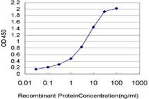 Detection limit for recombinant GST tagged THUMPD1 is approximately 0. (THUMPD1 抗体  (AA 1-353))