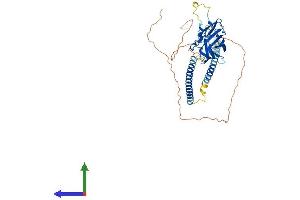Protein Structure (PS) image for Sperm Associated Antigen 4 (SPAG4) (AA 1-437) protein (His tag) (ABIN7546151)