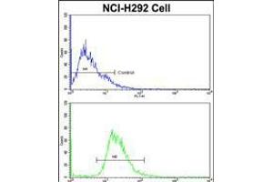 Flow cytometric analysis of NCI-H292 cells using EEF1A1 Antibody (bottom histogram) compared to a negative control cell (top histogram). (eEF1A1 抗体  (C-Term))