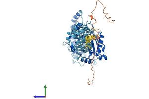 Protein Structure (PS) image for Lysophosphatidylcholine Acyltransferase 2 (LPCAT2) (AA 1-544) protein (His tag) (ABIN7554894)