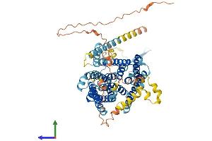 Protein Structure (PS) image for Solute Carrier Family 9, Subfamily A (NHE9, Cation Proton Antiporter 9), Member 9 (SLC9A9) (AA 1-645) protein (His tag) (ABIN7555521)