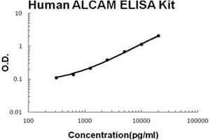 Human ALCAM Accusignal ELISA Kit Human ALCAM AccuSignal ELISA Kit standard curve. (CD166 ELISA 试剂盒)