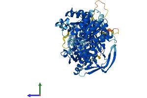 AlphaFold protein structure predicition of Mouse Recombinant Carns1 Protein, UniprotID Q6ZPS2
