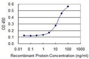 Detection limit for recombinant GST tagged CTSE is 1 ng/ml as a capture antibody. (Cathepsin E 抗体  (AA 18-396))