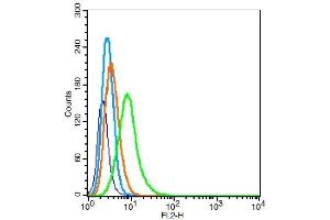 RSC96 cells probed with	PCDH20 Polyclonal Antibody, Unconjugated  at 1:100 for 30 minutes followed by incubation with a conjugated secondary (PE Conjugated) (green) for 30 minutes compared to control cells (blue), secondary only (light blue) and isotype control (orange). (PCDH20 抗体  (AA 611-710))