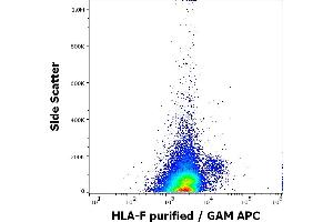 Flow cytometry surface staining pattern of human PMA + Ionomycin stimulated peripheral blood mononuclear cells stained using anti-human MICA/MICB (6D4) purified antibody (concentration in sample 5 μg/mL, GAM APC). (HLA-F 抗体)