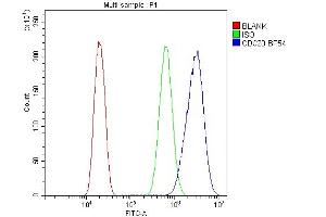 Flow Cytometry analysis of U20S cells using anti-Cdc20 antibody (ABIN5518976).