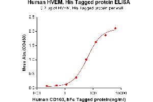 ELISA plate pre-coated by 2 μg/mL (100 μL/well) Human HVEM, His tagged protein (ABIN6964089) can bind Human CD160,hFc tagged protein (ABIN6964110) in a linear range of 1. (HVEM Protein (His tag))