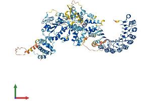 Protein Structure (PS) image for NLR Family, Pyrin Domain Containing 3 (NLRP3) (AA 1-1036) protein (His tag) (ABIN7554745)