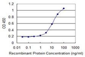 Detection limit for recombinant GST tagged ASXL1 is 0. (ASXL1 抗体  (AA 1-84))