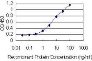Detection limit for recombinant GST tagged RNASEH2C is 0. (RNASEH2C 抗体  (AA 1-164))