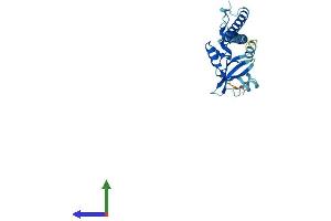 Protein Structure (PS) image for C-Type Lectin Domain Family 12, Member B (CLEC12B) (AA 1-275) protein (His tag) (ABIN7556971)
