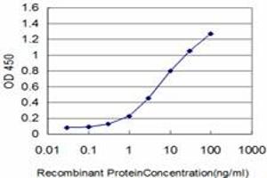 Detection limit for recombinant GST tagged FLT4 is approximately 0. (FLT4 抗体  (AA 34-133))