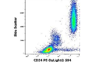 Flow cytometry surface staining pattern of human peripheral whole blood stained using anti-human CD24 (SN3) PE-DyLight® 594 antibody (4 μL reagent / 100 μL of peripheral whole blood). (CD24 抗体  (PE-DyLight 594))