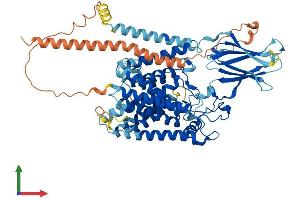 AlphaFold protein structure predicition of Human Recombinant HGSNAT Protein, UniprotID Q68CP4 (HGSNAT Protein (AA 1-663) (His tag))