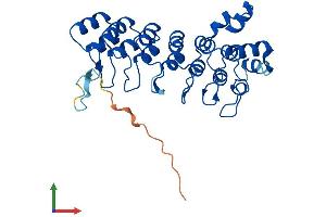 Protein Structure (PS) image for Ankyrin Repeat and SOCS Box Containing 9 (ASB9) (AA 1-294) protein (His tag) (ABIN7552414)