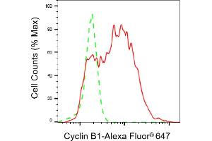 Flow cytometric analysis of Cyclin B1 expression in HepG2 cells using Cyclin B1 antibody (ABIN7798188), 1:2,000). (Recombinant Cyclin B1 抗体)