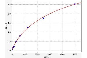 Typical standard curve (CLN3 ELISA 试剂盒)