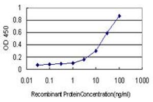 Detection limit for recombinant GST tagged TP63 is approximately 0. (p63 抗体  (AA 1-100))