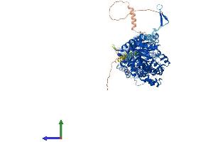 Protein Structure (PS) image for Klotho beta (KLB) (AA 1-1044) protein (His tag) (ABIN7554392)