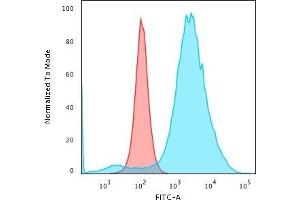 Flow Cytometric Analysis of paraformaldehyde-fixed HeLa cells with CD55 Mouse Monoclonal Antibody (F4-29D9) followed by goat anti-Mouse IgG-CF488 (Blue) Isotype Control (Red) (CD55 抗体)