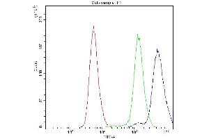 Flow Cytometry analysis of PC-3 cells using anti-Bcl-X antibody (ABIN4886480).