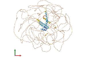 Protein Structure (PS) image for Treacher Collins-Franceschetti Syndrome 1 (TCOF1) (AA 1-1488) protein (His tag) (ABIN7555760)