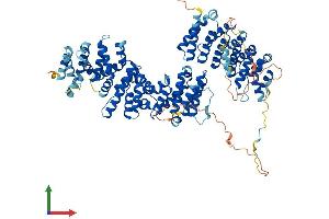 Protein Structure (PS) image for TEL2, Telomere Maintenance 2, Homolog (TELO2) (AA 1-837) protein (His tag) (ABIN7555762)