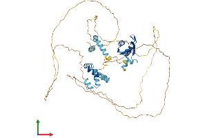 Protein Structure (PS) image for Cleavage Stimulation Factor, 3' Pre-RNA, Subunit 2, 64kDa (CSTF2) (AA 1-577) protein (His tag) (ABIN7546775)