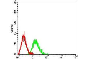 Flow Cytometry (FACS) image for anti-Autophagy related 4A Cysteine Peptidase (ATG4A) (AA 258-398) antibody (ABIN7193210)