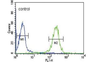 Flow Cytometry (FACS) image for anti-Folate Receptor 2 (Fetal) (FOLR2) antibody (ABIN3002210) (FOLR2 抗体)